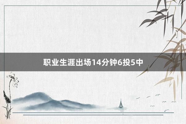 职业生涯出场14分钟6投5中