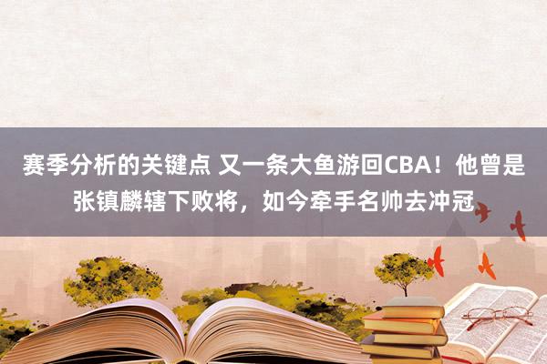 赛季分析的关键点 又一条大鱼游回CBA！他曾是张镇麟辖下败将，如今牵手名帅去冲冠