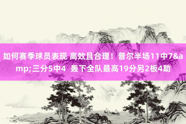 如何赛季球员表现 高效且合理！普尔半场11中7&三分5中4  轰下全队最高19分另2板4助