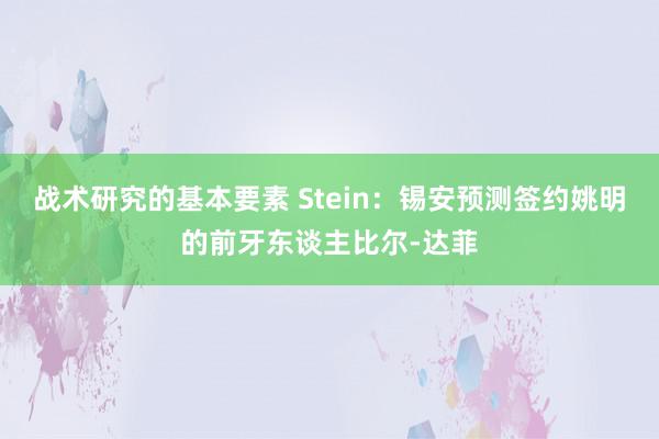 战术研究的基本要素 Stein：锡安预测签约姚明的前牙东谈主比尔-达菲