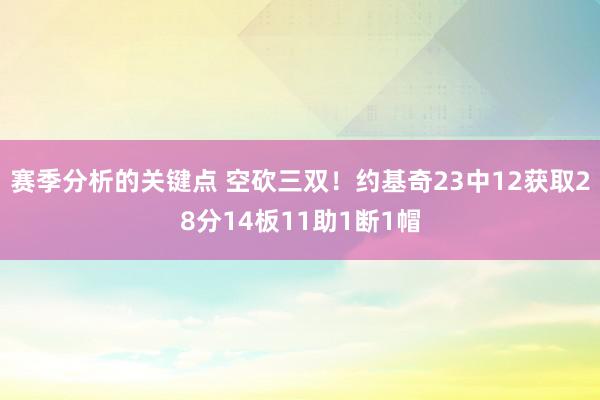 赛季分析的关键点 空砍三双！约基奇23中12获取28分14板11助1断1帽