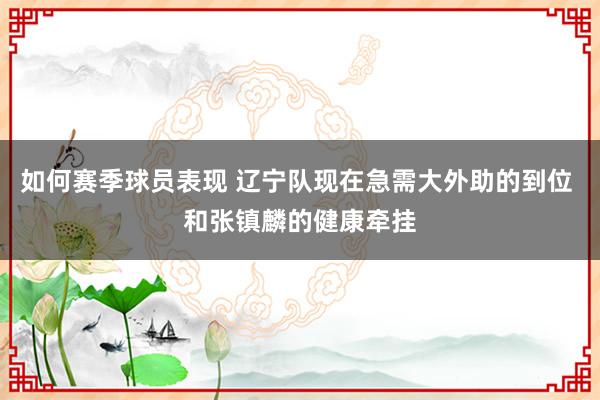 如何赛季球员表现 辽宁队现在急需大外助的到位 和张镇麟的健康牵挂