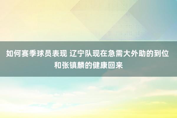 如何赛季球员表现 辽宁队现在急需大外助的到位 和张镇麟的健康回来