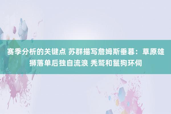 赛季分析的关键点 苏群描写詹姆斯垂暮：草原雄狮落单后独自流浪 秃鹫和鬣狗环伺