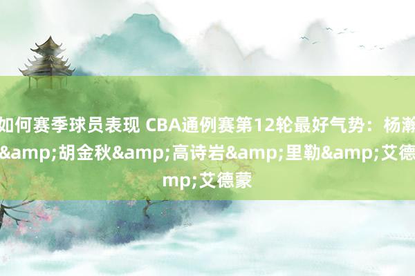 如何赛季球员表现 CBA通例赛第12轮最好气势：杨瀚森&胡金秋&高诗岩&里勒&艾德蒙