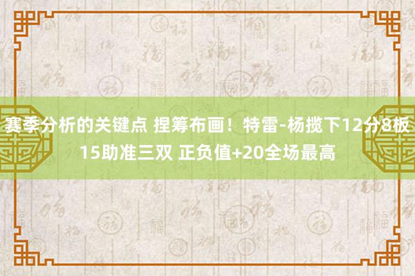 赛季分析的关键点 捏筹布画！特雷-杨揽下12分8板15助准三双 正负值+20全场最高