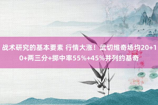 战术研究的基本要素 行情大涨！武切维奇场均20+10+两三分+掷中率55%+45%并列约基奇